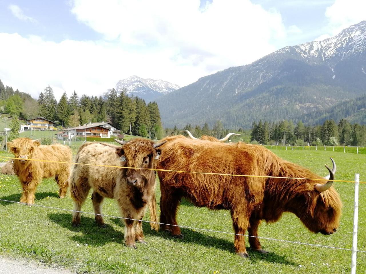 Camping Lechtal Vorderhornbach ภายนอก รูปภาพ