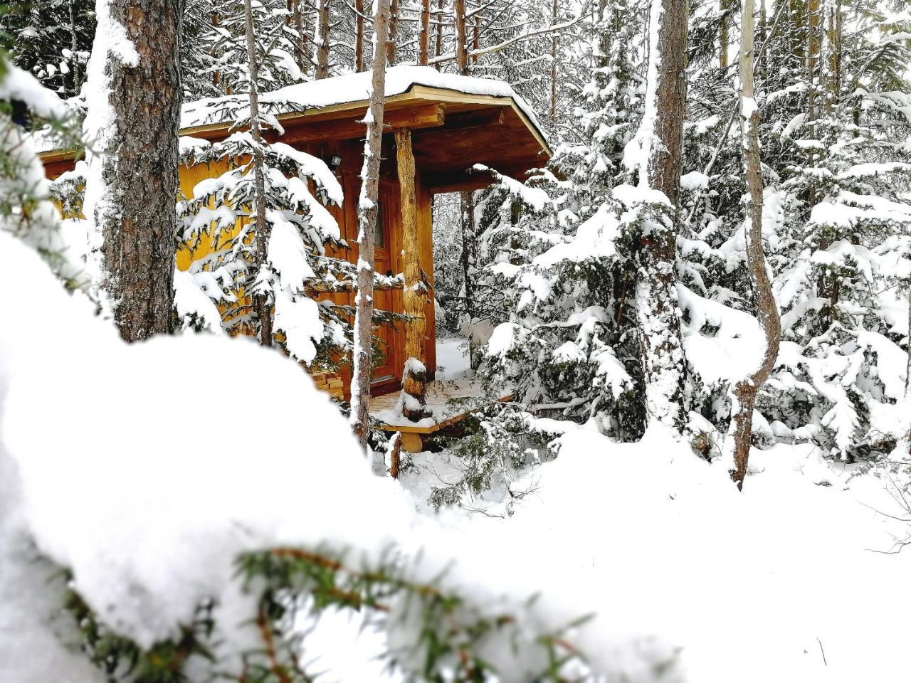 Camping Lechtal Vorderhornbach ภายนอก รูปภาพ